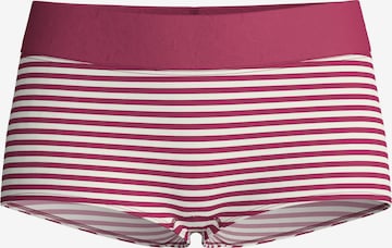 CALIDA Boyshorts 'Elastic Special' in Purple: front