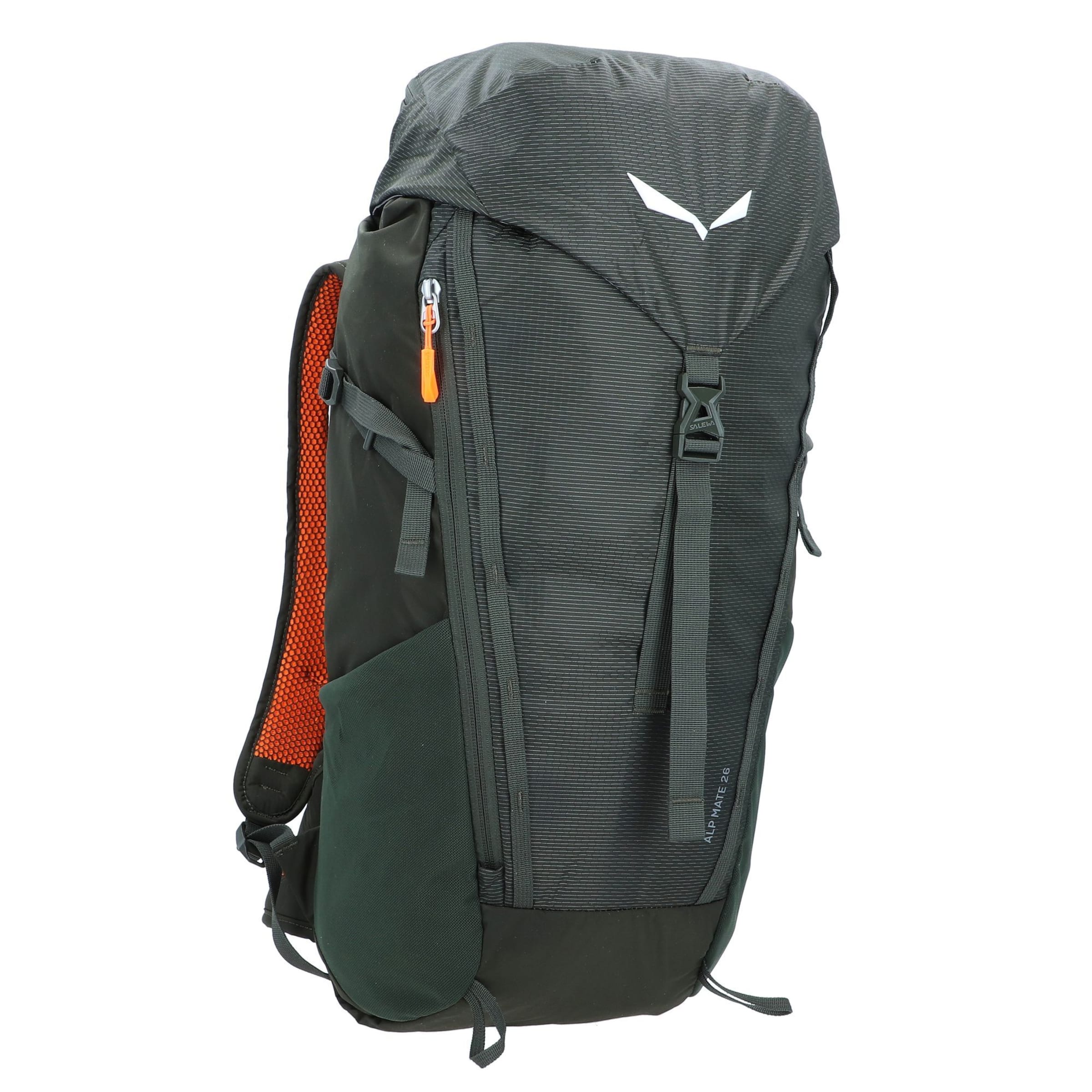 SALEWA Sports Backpack in Green