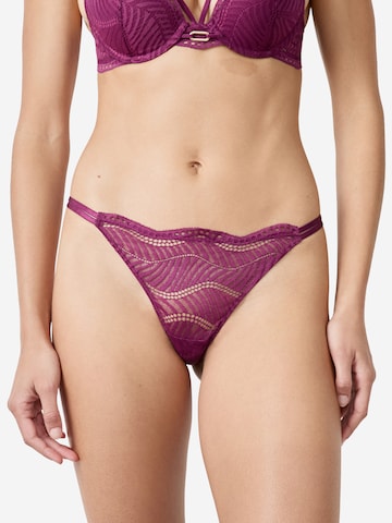 ETAM Thong in Purple: front
