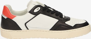 SIOUX Sneakers laag 'Tedroso-DA-700' in Zwart