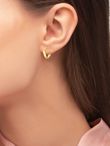 Boucles d'oreilles 'May' Heideman en or : devant