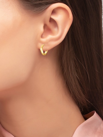 Boucles d'oreilles 'May' Heideman en or : devant