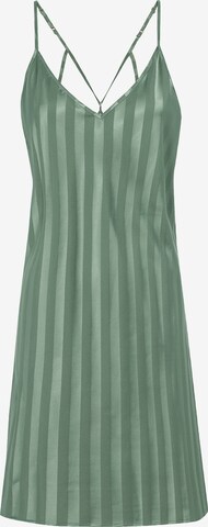 LSCN by LASCANA Negligee in Green: front