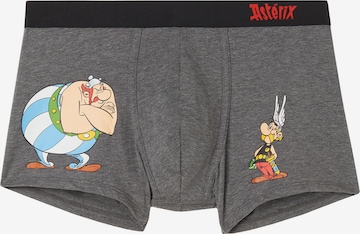 INTIMISSIMI Boxer shorts 'ASTERIX E OBELIX' in Grey: front