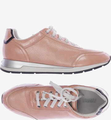 GEOX Sneakers & Trainers in 42 in Pink: front