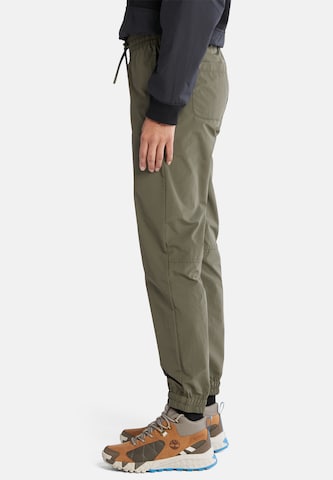 TIMBERLAND Tapered Pants in Green