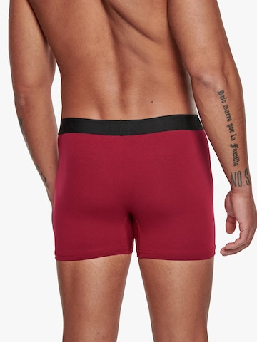 Adam Boxershorts '6er Pack'‌‌‌‌‌ in Rot