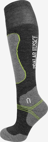 Polar Husky Knee High Socks in Grey