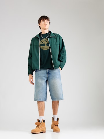 TIMBERLAND Shirt 'NORTHWOOD TREE' in Groen