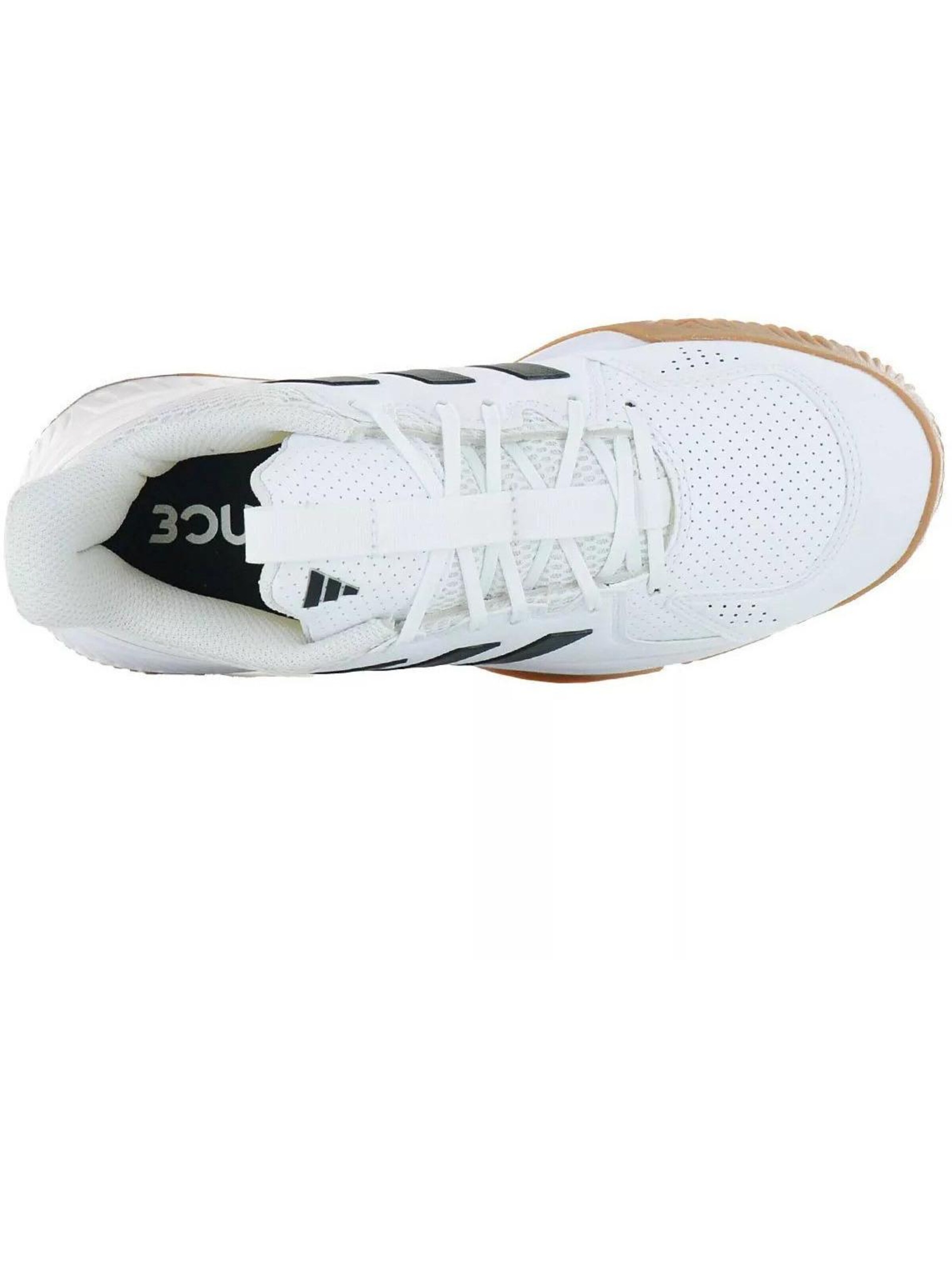 Scarpa sportiva 'adidas Court Flight Indoor Volleyball' di ADIDAS in bianco