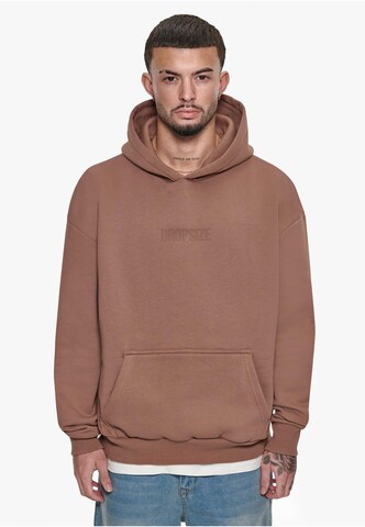 Dropsize Sweatshirt in Brown: front