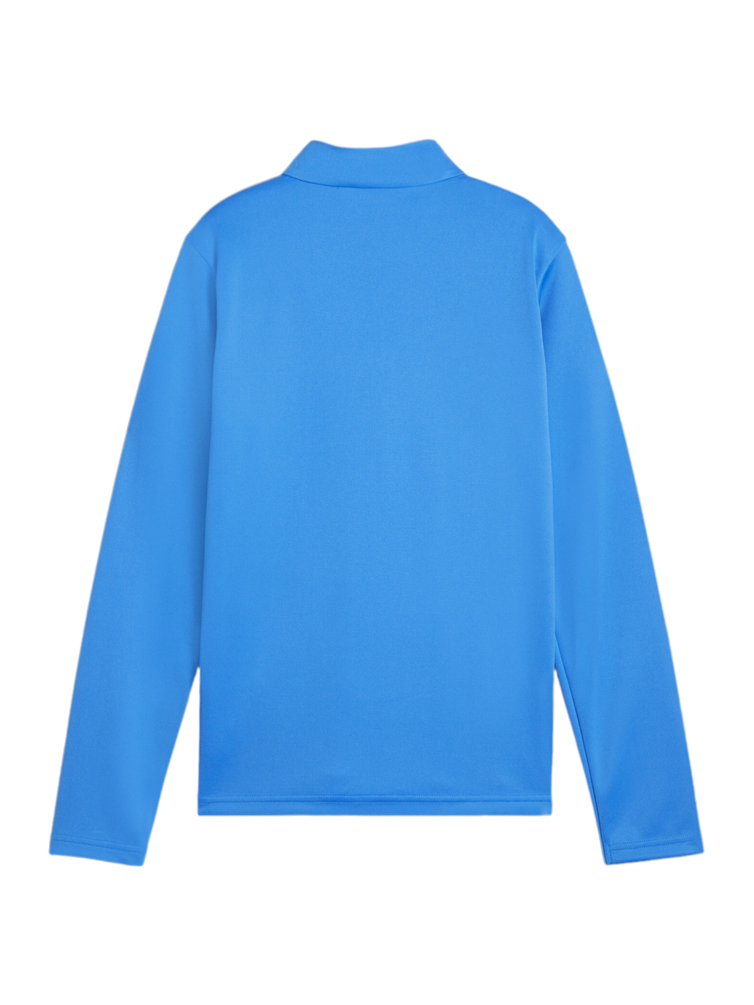 PUMA Funktionsshirt 'Team Goal' in Blau