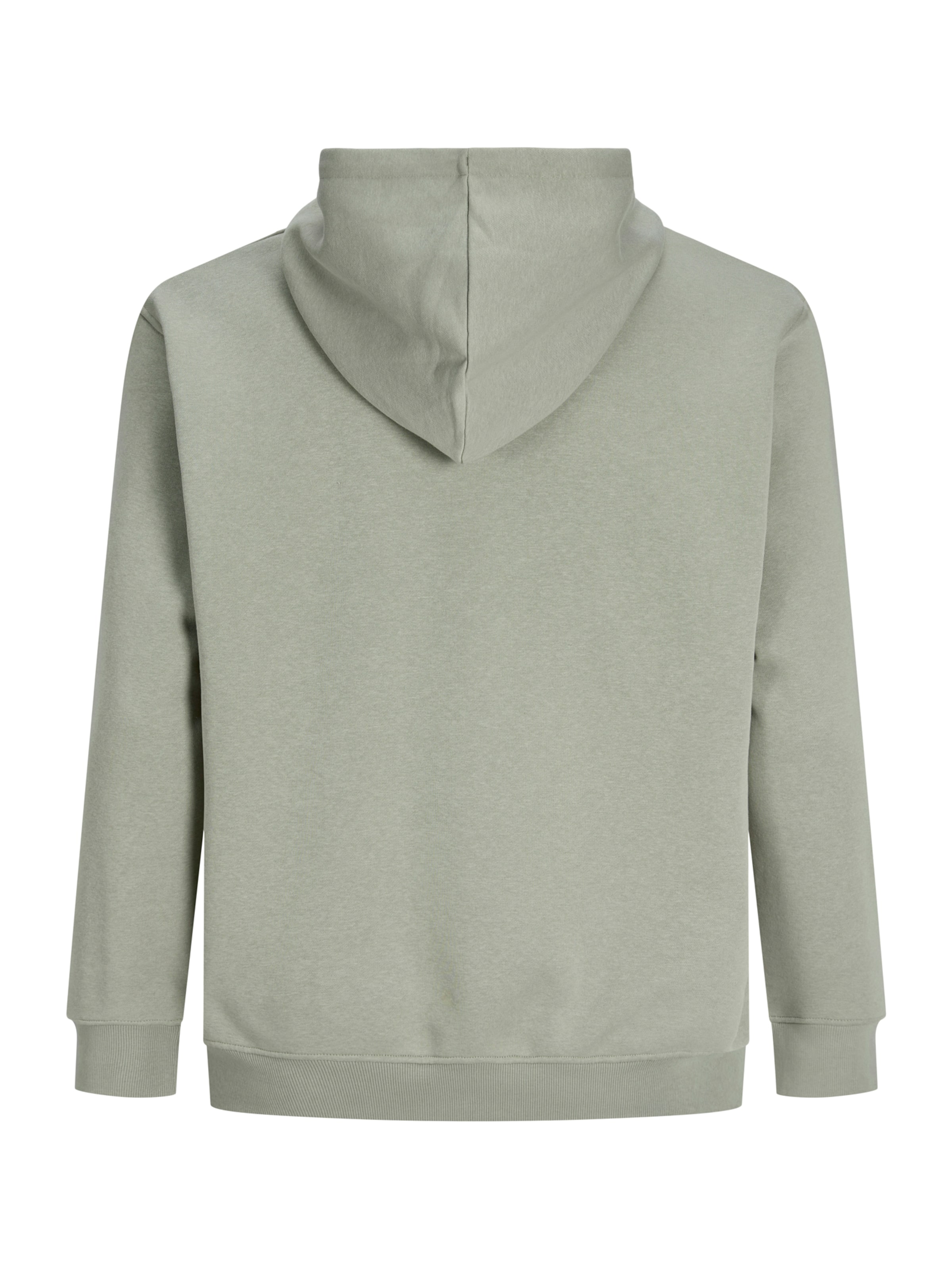 Jack & Jones Plus Sweatshirt 'JORGREENE' in Green