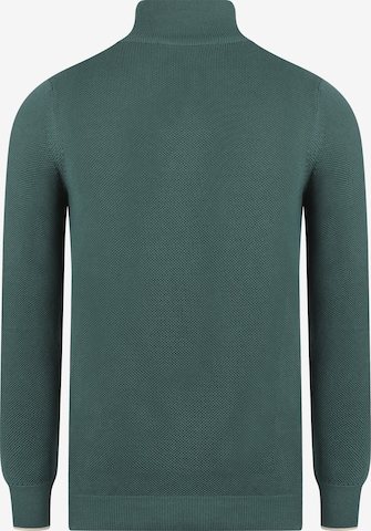 DENIM CULTURE Sweater 'Chester' in Green
