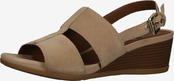 GEOX Sandaal in Beige: voorkant