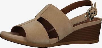 Sandales GEOX en beige : devant