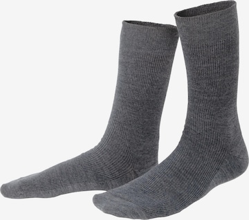 Living Crafts Socks 'DAVOS' in Grey: front