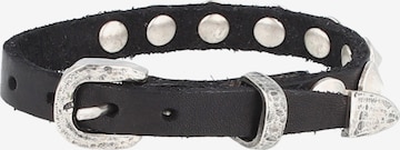 Campomaggi Armband in Zwart