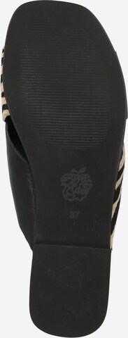 Apple of Eden Mules 'Savannah' in Black