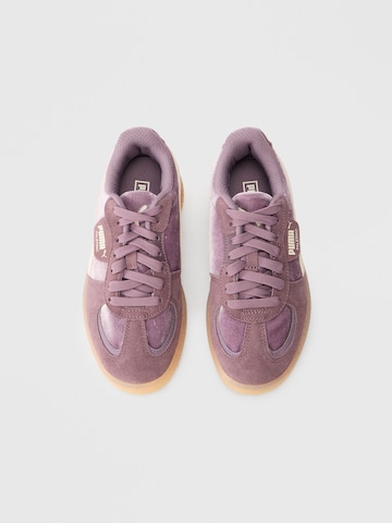 PUMA Sneakers 'Palermo Moda Dream' in Purple