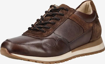 ARA Platform trainers in Brown: front