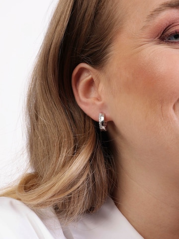 Lucardi Oorbellen in Zilver: voorkant