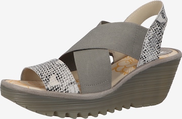 FLY LONDON Strap Sandals in Grey: front