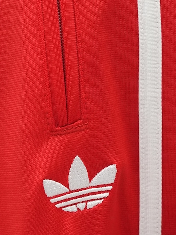 ADIDAS ORIGINALS - Bootcut Pantalón 'FB' en rojo