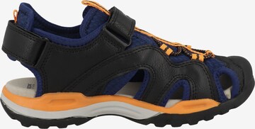 Chaussures ouvertes 'Borealis' GEOX en bleu