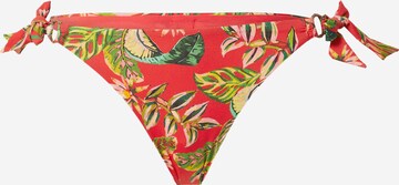 Banana Moon Bikinibroek in Rood: voorkant