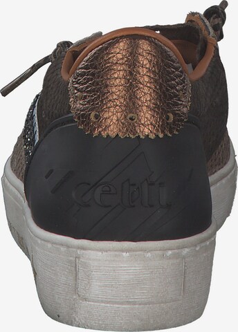 Cetti Sneaker 'C1257 SRA' in Braun