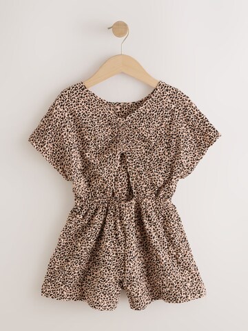 Next Overall in Braun