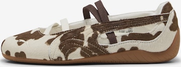 PUMA Nauhaballerina 'Speedcat' värissä ruskea: etupuoli