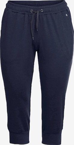 SHEEGO Tapered Pants in Blue: front