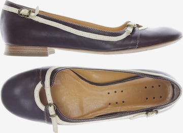 Alberto Fermani Flats & Loafers in 37 in Brown: front