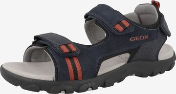 Chaussures ouvertes 'J S. Strada A' GEOX en gris : devant