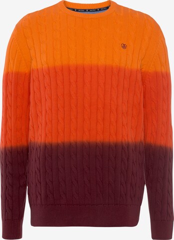 DELMAO Sweater in Mixed colors: front