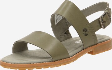TIMBERLAND Sandals 'Chicago Riverside' in Green: front