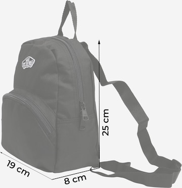 VANS Rucksack in Schwarz