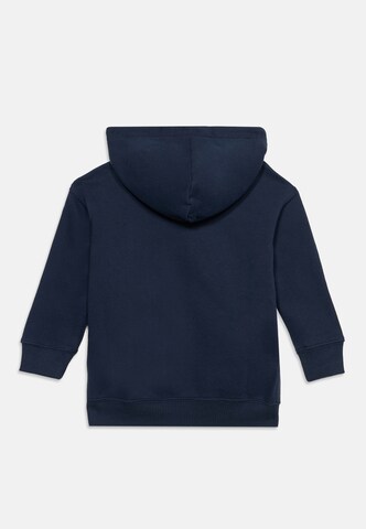 Abercrombie & Fitch Majica | modra barva