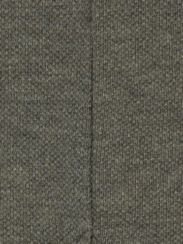 TOMMY HILFIGER Poloshirt 'CORE 1985' in Grün
