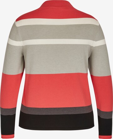 Rabe Sweater in Mixed colors