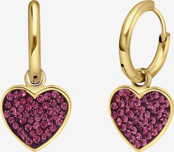 Boucles d'oreilles Lucardi en or : devant