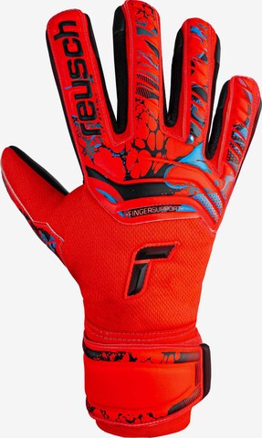 REUSCH Athletic Gloves 'Attrakt Grip Evolution' in Red