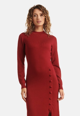Smashed Lemon Gebreide jurk in Rood