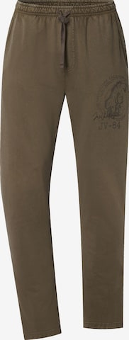 Jan Vanderstorm Pants 'Hjafred' in Brown: front