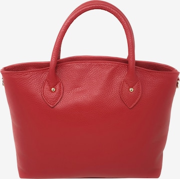 CHICCA BORSE Handbag in Red: front