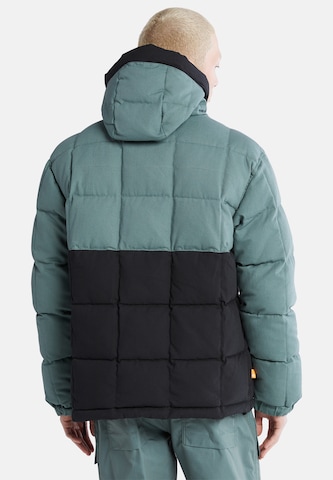 TIMBERLAND Winter jacket in Green