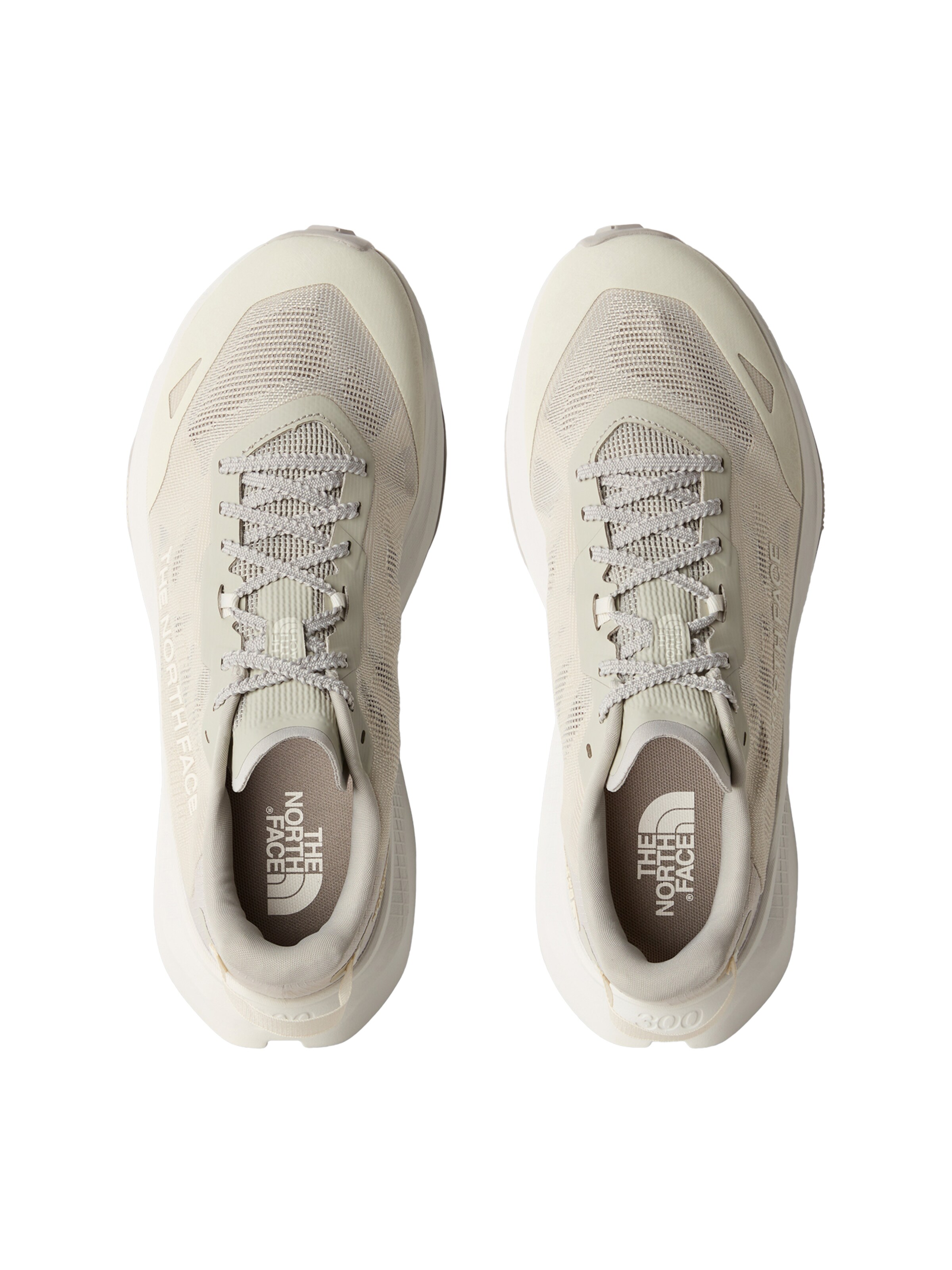 THE NORTH FACE Športni čevlji z vezalkami 'M ALTAMESA 300 V2' | črna barva