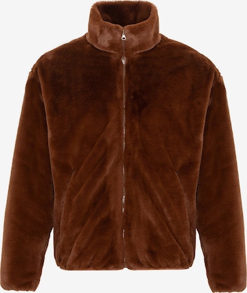 Antioch Winter jacket in Brown: front